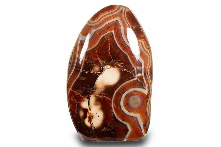 Free-Standing, Polished Carnelian Agate - Madagascar #317655